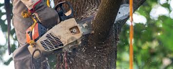 Best Soil Testing and Treatment  in Loudonville, NY